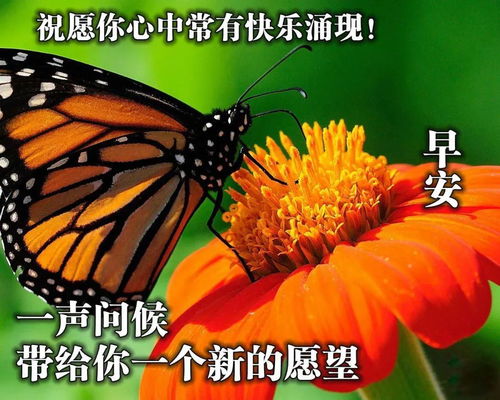 10月15日清晨问候表情图片,周五早上问候温馨祝福语图片