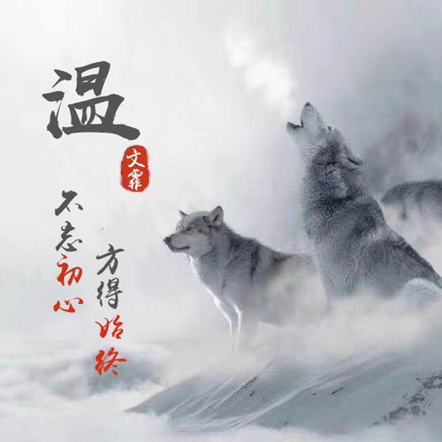 三十的头像张超赞