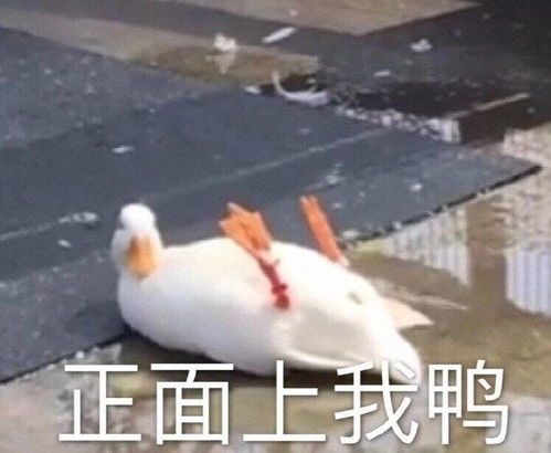 热门搞笑表情包图片洞悉一切的微笑,正在忙,一会再说