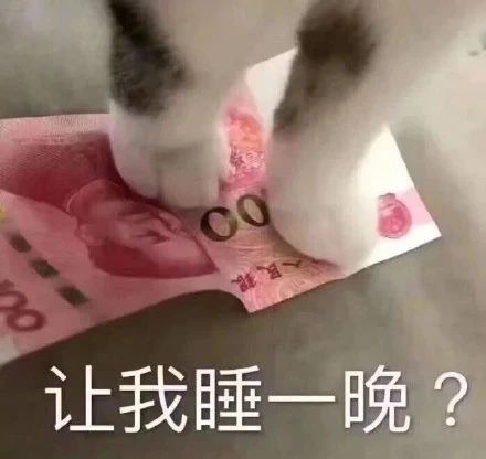 撩人表情包拿图片好奇,美丽的姑娘