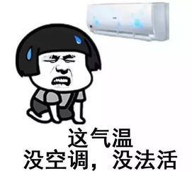 天气热死了搞笑表情包台风