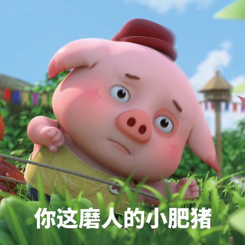 探探猫搞笑图片合集今天努力工作明天努力不工作