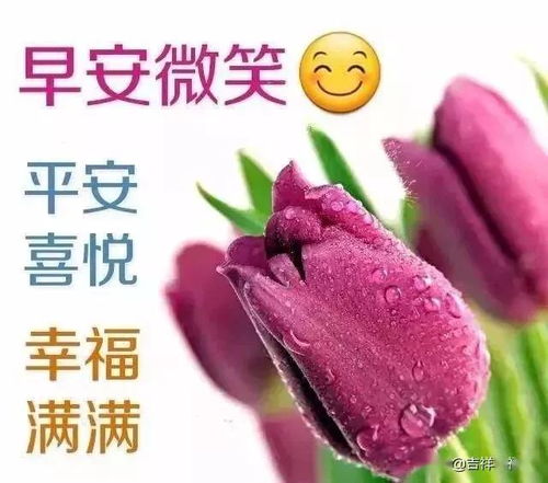 早上好表情包搞笑早安