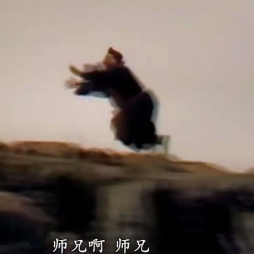 头像情头3.26期