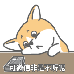小基仔雨露均沾动态表情包微信柯基犬雨露均沾体动态图