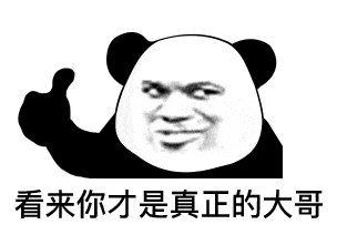最新超可爱熊猫头热门表情包