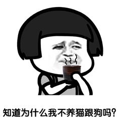 无套路不聊天整人情话表情包