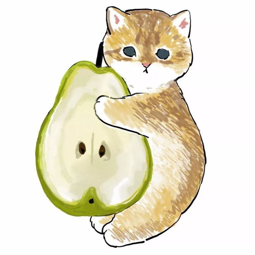 抱着水果的可爱猫猫晚安