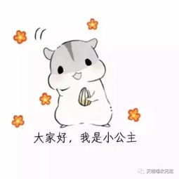 哼谁还不是一个傲娇的小公举