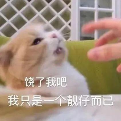 这个春天,你错过了什么
