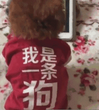 趣图被当做不存在的电梯