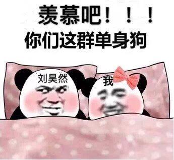 熊猫头表情包合集羡慕吧,你们这群单身狗