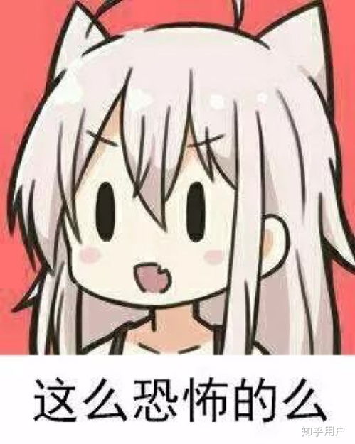 如何评价2019年的bilibiliworld