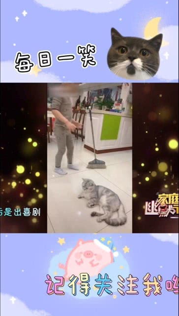 每日一笑,更多好玩视频点击头像就有