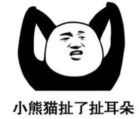 熊猫头搞怪专用卖萌表情小熊猫梳好了一个丸子头