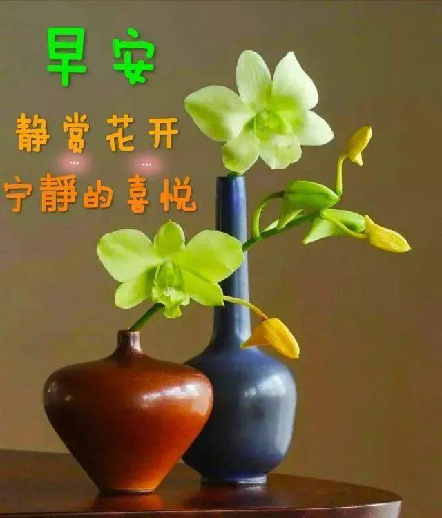 早上好鲜花问候语动态图片祝福早上好鲜花图片带字图片