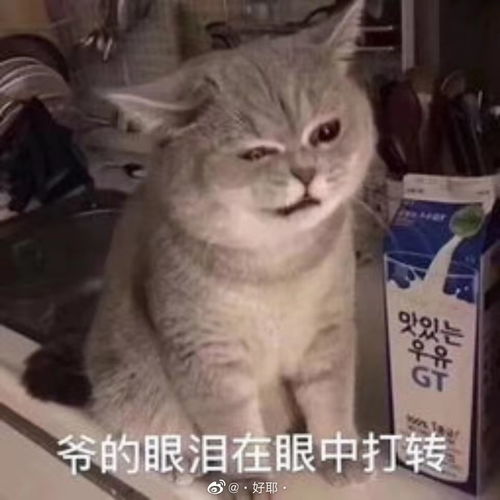 端午节不回家,直接被妈妈拉黑了要怎么破