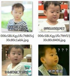暑假作业没做的原因表情包暑假作业没做的原因表情合集v1.1免费版软件下载
