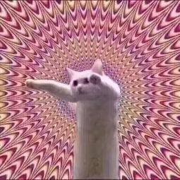 咱能安静的做个美猫吗