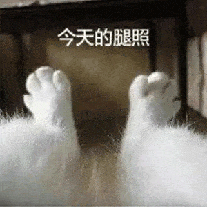 沙雕表情包有空一起洗澡啊