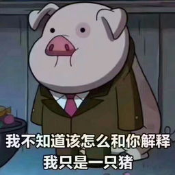 这个图片上的猪是什么上面的