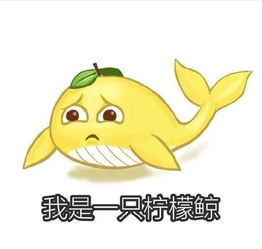 搞笑表情包停一下打个广告,处对象加我