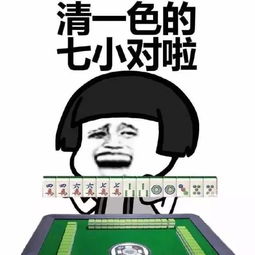 2017麻将职业资格考试,你能及格不