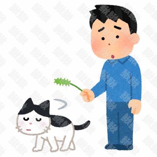 讨厌和男主人关系特别差的小狗狗猫咪小猫手绘卡通插画手绘png儿童插画免扣素材1阿猫阿狗