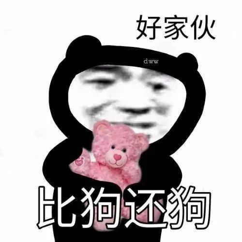 表情包搞笑文案熊猫