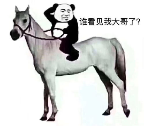 日本猪兽医误向同事的大腿注射猪药水