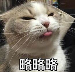 高中那些年发生的搞笑片段,扶我起来,我再笑一会哈哈哈哈