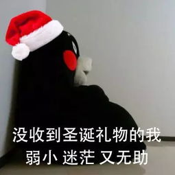 表情包有人给我买圣诞礼物吗