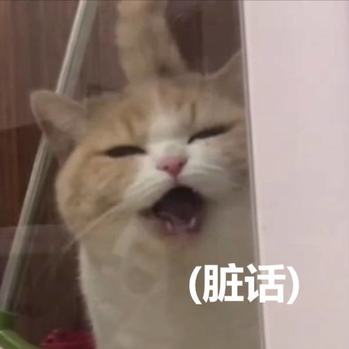 搞笑可爱表情包借我点钱