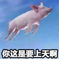 搞笑表情包带字微信天来