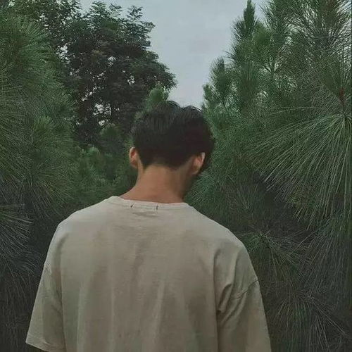 赶紧换头像啦你想要的这里全都有