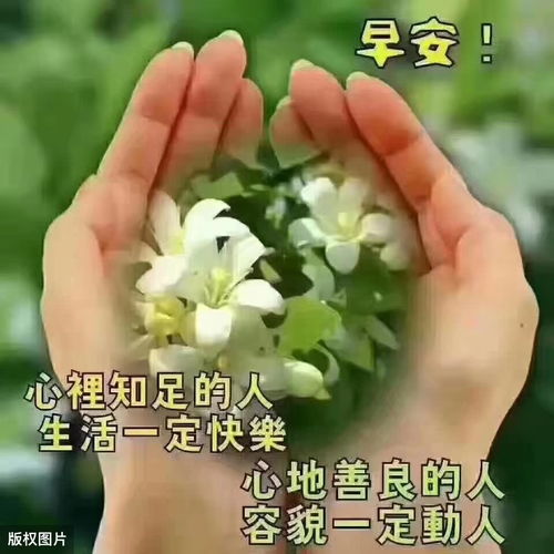 早安心语唯美阳光的句子,励志走心,早上好