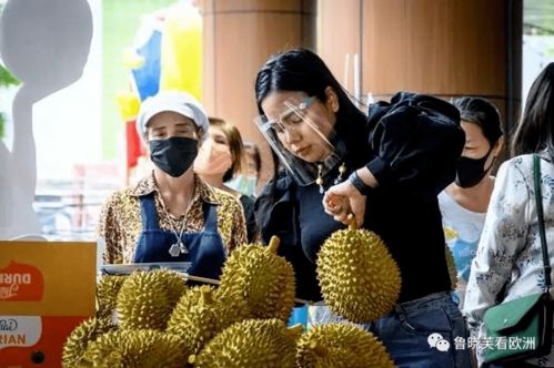 榴莲在德国搞事情,邮局警局消防队医护重重包围,60人撤12人吐6人住院
