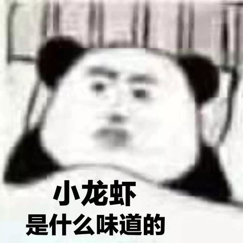 熊猫头表情包你该不会还在喜欢女人吧