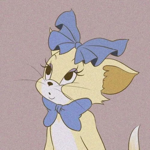 猫和老鼠主题头像不是一路人怎么抄近道都追不上