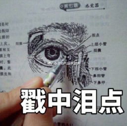 笑尿了原来每个专业都有专属表情包,来看看你的是什么