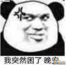 我后来都会选择绕过那条街表情包搞笑图片顶嘴消失片表情包下载乐游网游戏下载