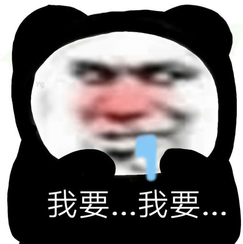 一些你找了很久的有趣表情包