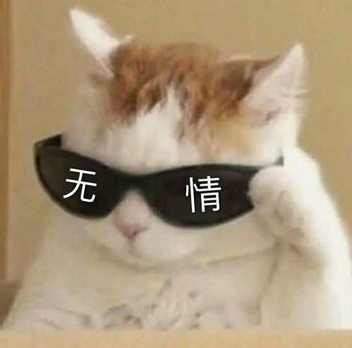 沙雕基友头像一左一右