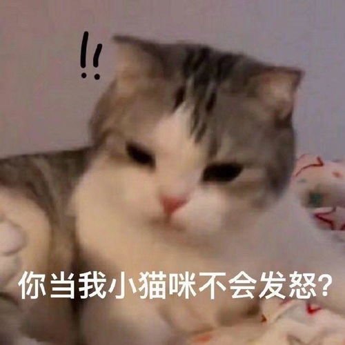 有哪些有趣的悲伤表情包