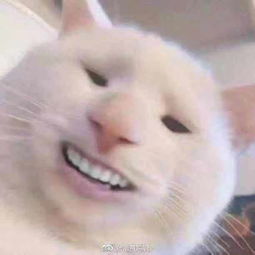 闺蜜做完痔疮手术,换药的是个男医生...尴尬到头掉了
