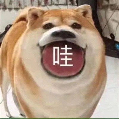 最新的有趣微信聊天表情大全超级热门的好笑聊天表情
