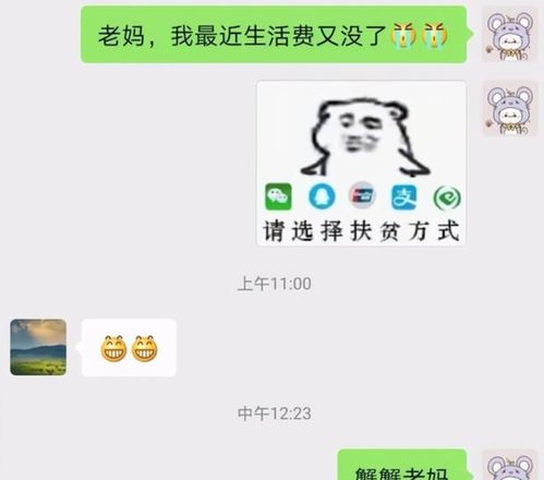 每个大学生都有n个要钱表情包,爸妈的应对方式更是五花八门