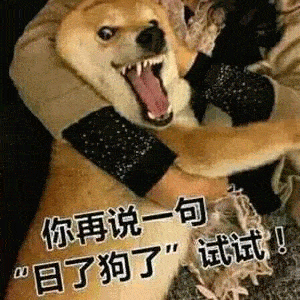 日常沙雕搞笑表情