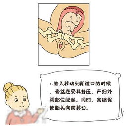 妈妈分娩过程,准妈妈爸爸都可以先了解下