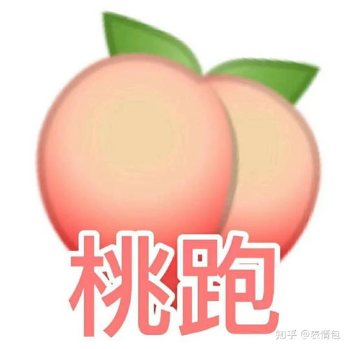 表情包大全水果语言表情包